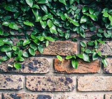 Onzichtbare baksteenreparatie zonder kleurverschil